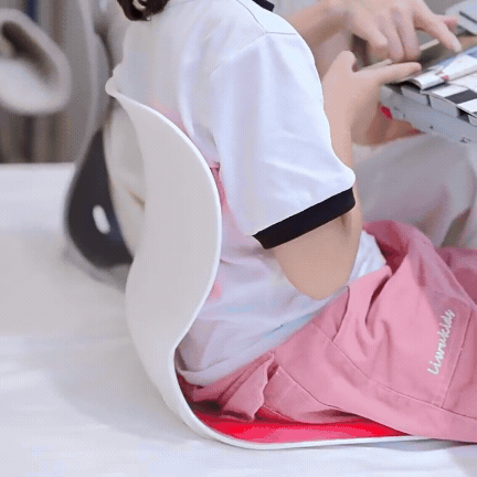 POSTURE PRO LUMBAR SUPPORT ULTIMO Ergonomic excellence: Lumbar support Chair. ( Regular Price $199.99)  Tv  Promo $99.99