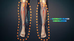 Relaxor Recover-E Full Leg Recovery Therapy