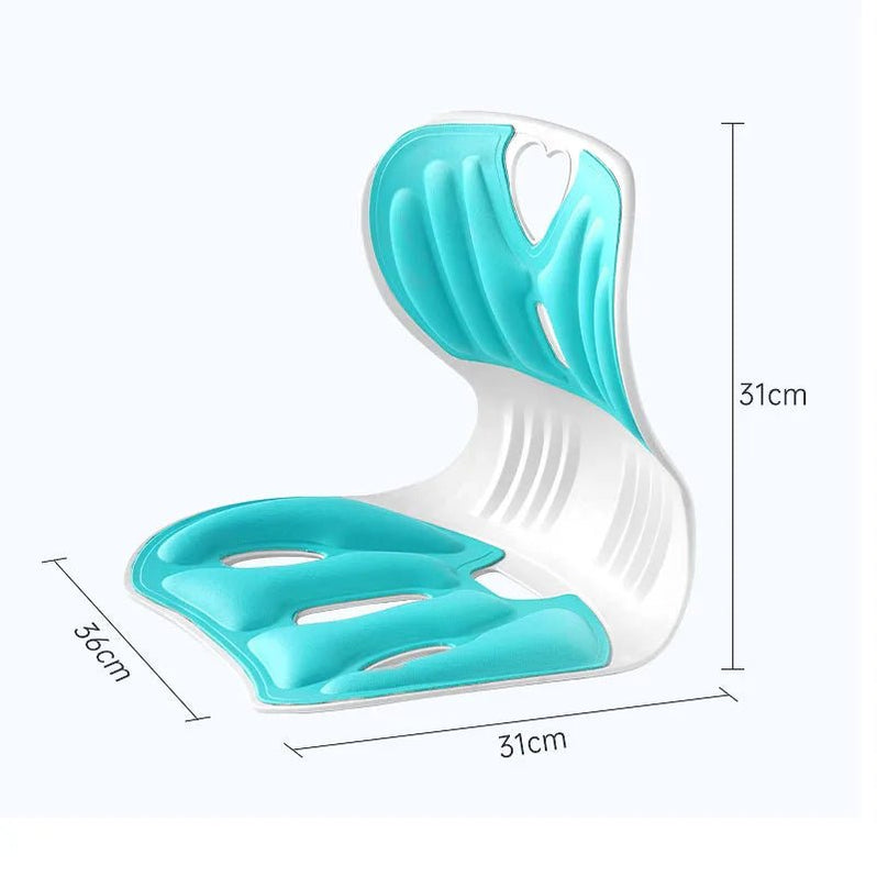 POSTURE PRO LUMBAR SUPPORT ULTIMO Ergonomic excellence: Lumbar support Chair. ( Regular Price $199.99)  Tv  Promo $99.99