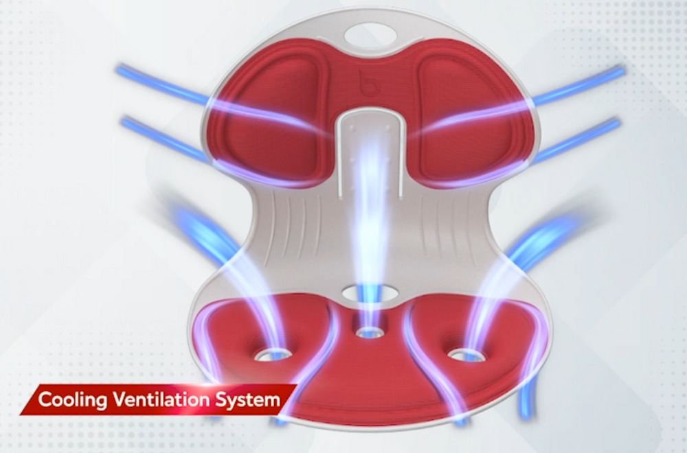 Posture Pro LUMBAR SUPPORT