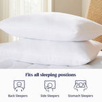 Luna Pedic Pillow