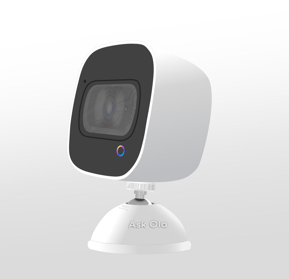 Ola Smart Talking Security Camera