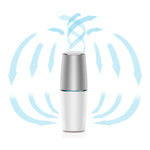 Portable UVC Air Purifier